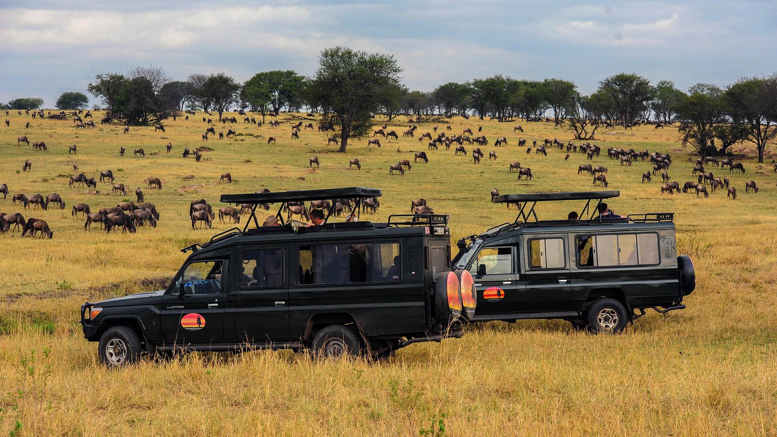 serengetinationalparkdestinationstanzaniamaasaiwanderingsafricagamedrivevehicles